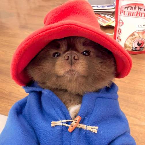 img_20200318_135736_01