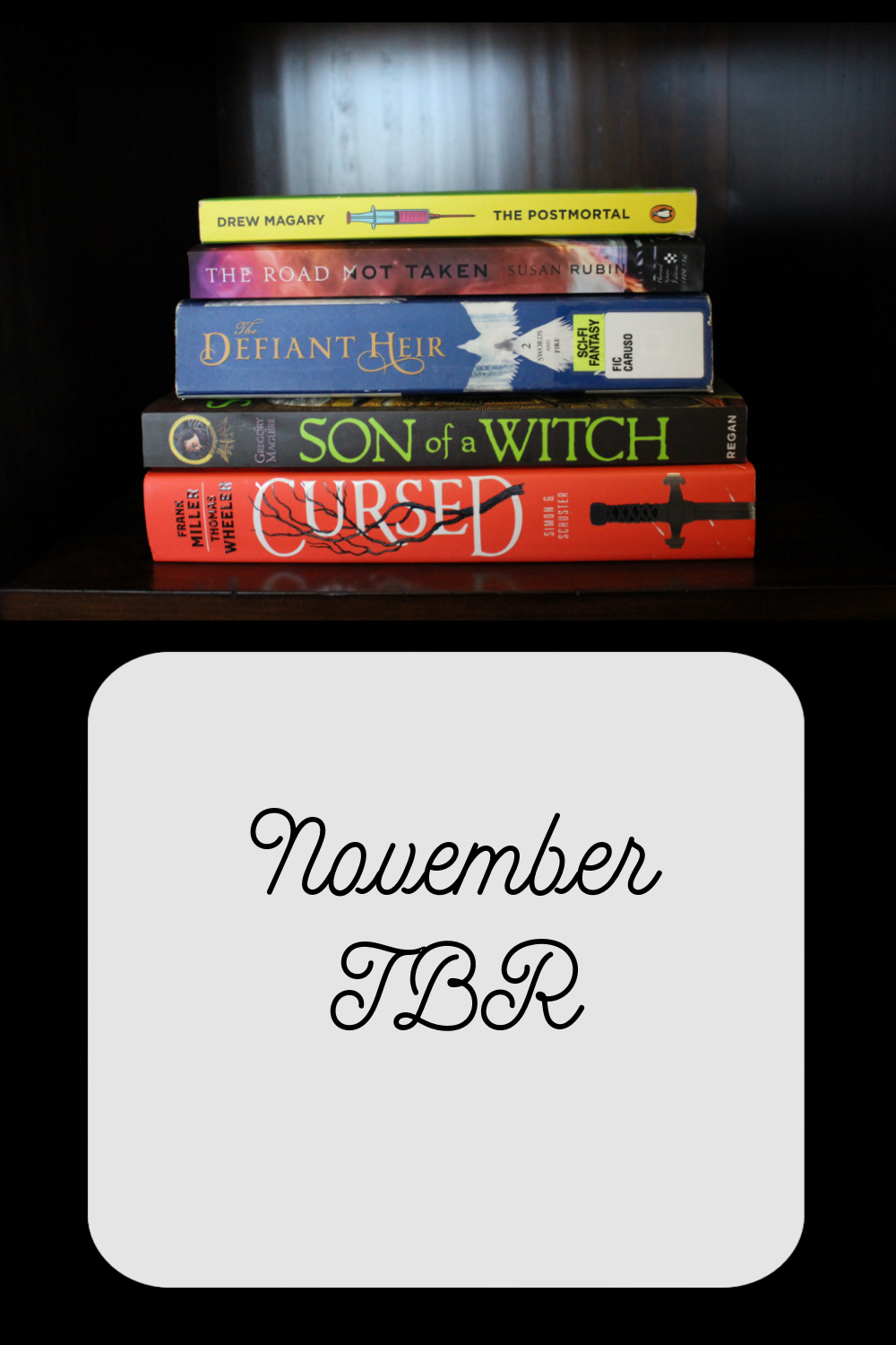What To Read My November 2020 Tbr Lauren Corcur